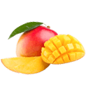 Püre Ürünler